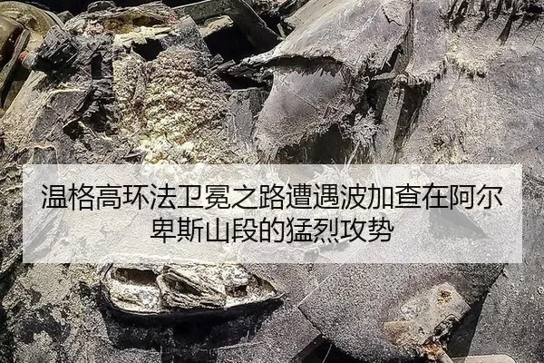 wen-ge-gao-huan-fa-wei-mian-zhi-lu-zao-yu-bo-jia-cha-zai-a-er-bei-si-shan-duan-de-meng-lie-gong-shi-3-158.jpg