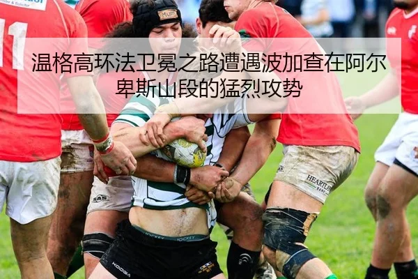 温格高环法卫冕之路遭遇波加查在阿尔卑斯山段的猛烈攻势