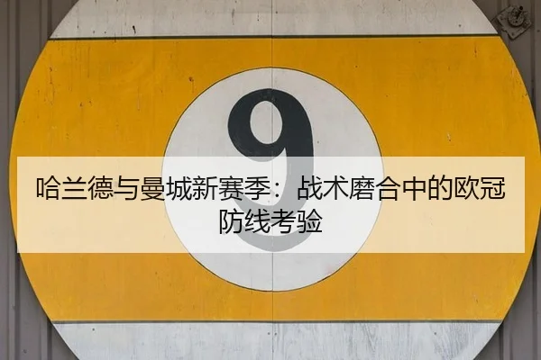ha-lan-de-yu-man-cheng-xin-sai-ji-zhan-shu-mo-he-zhong-de-ou-guan-fang-xian-kao-yan-3-151.jpg